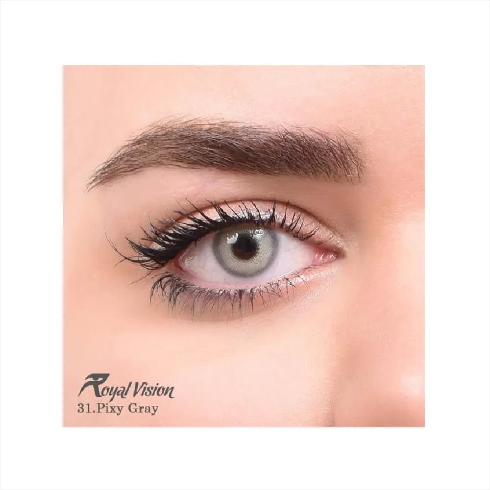 لنز رنگی رویال ویژن Royal Vision Daily Lens 31 Pixy Gray