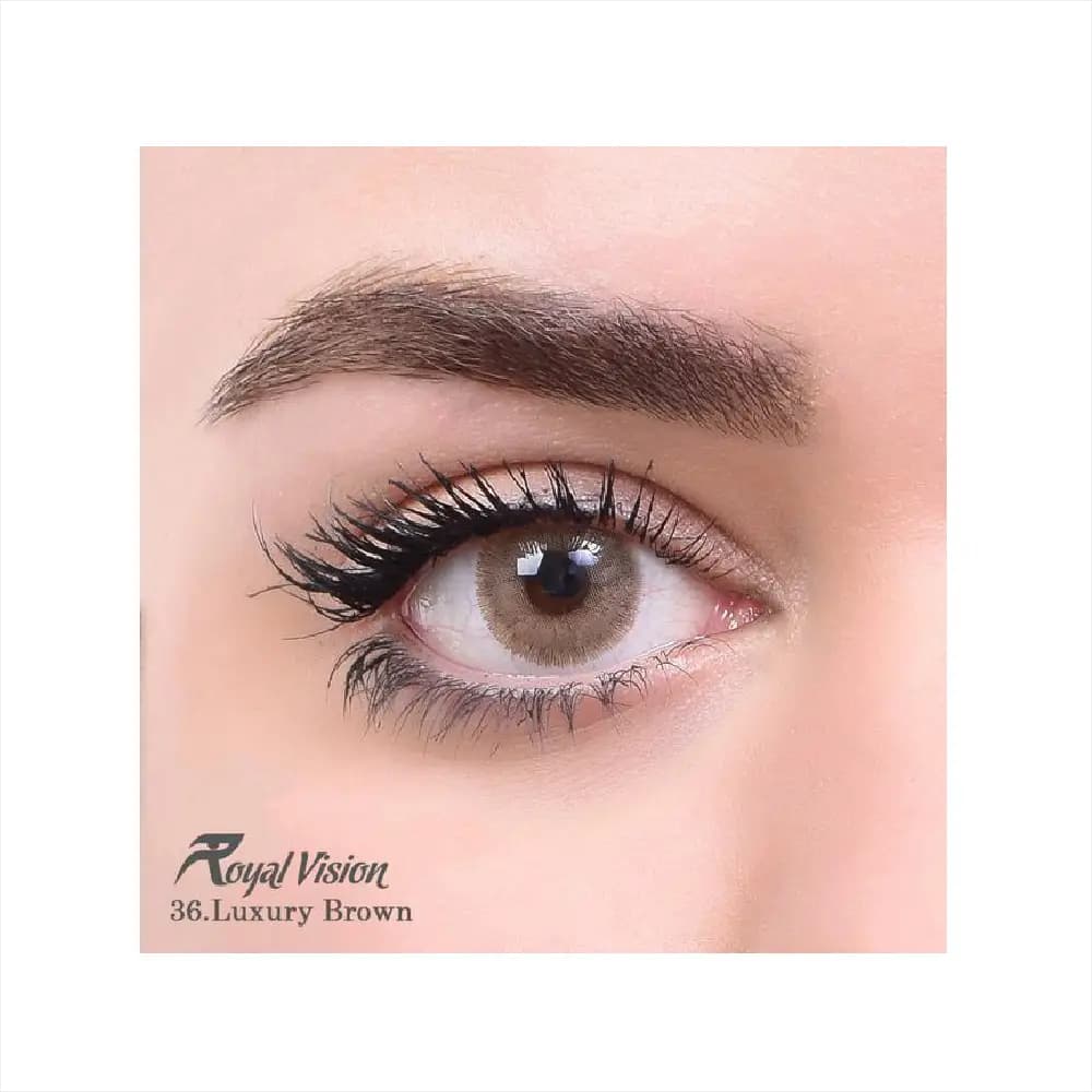 لنز رنگی رویال ویژن Royal Vision Daily Lens 36 Luxary Brown