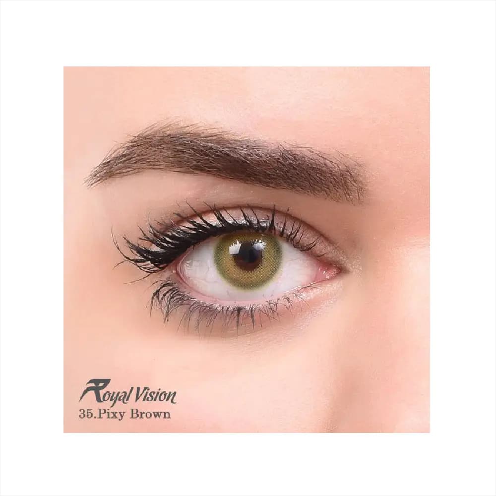 لنز رنگی رویال ویژن Royal Vision Daily Lens 35 Pixy Brown