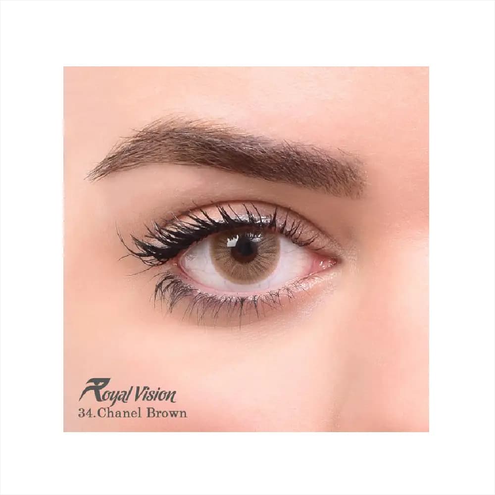 لنز رنگی رویال ویژن Royal Vision Daily Lens 34 Chanel Brown
