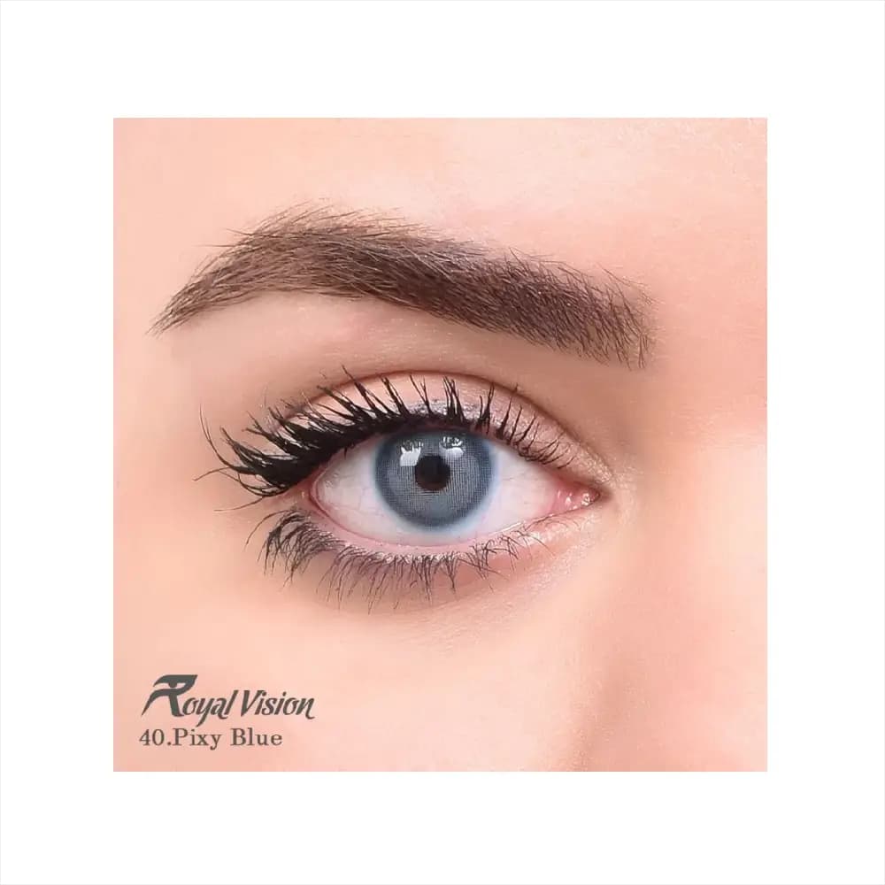 لنز رنگی رویال ویژن Royal Vision Daily Lens 40 Pixy Blue