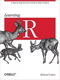 دانلود کتاب Learning R: A Step-by-Step Function Guide to Data Analysis