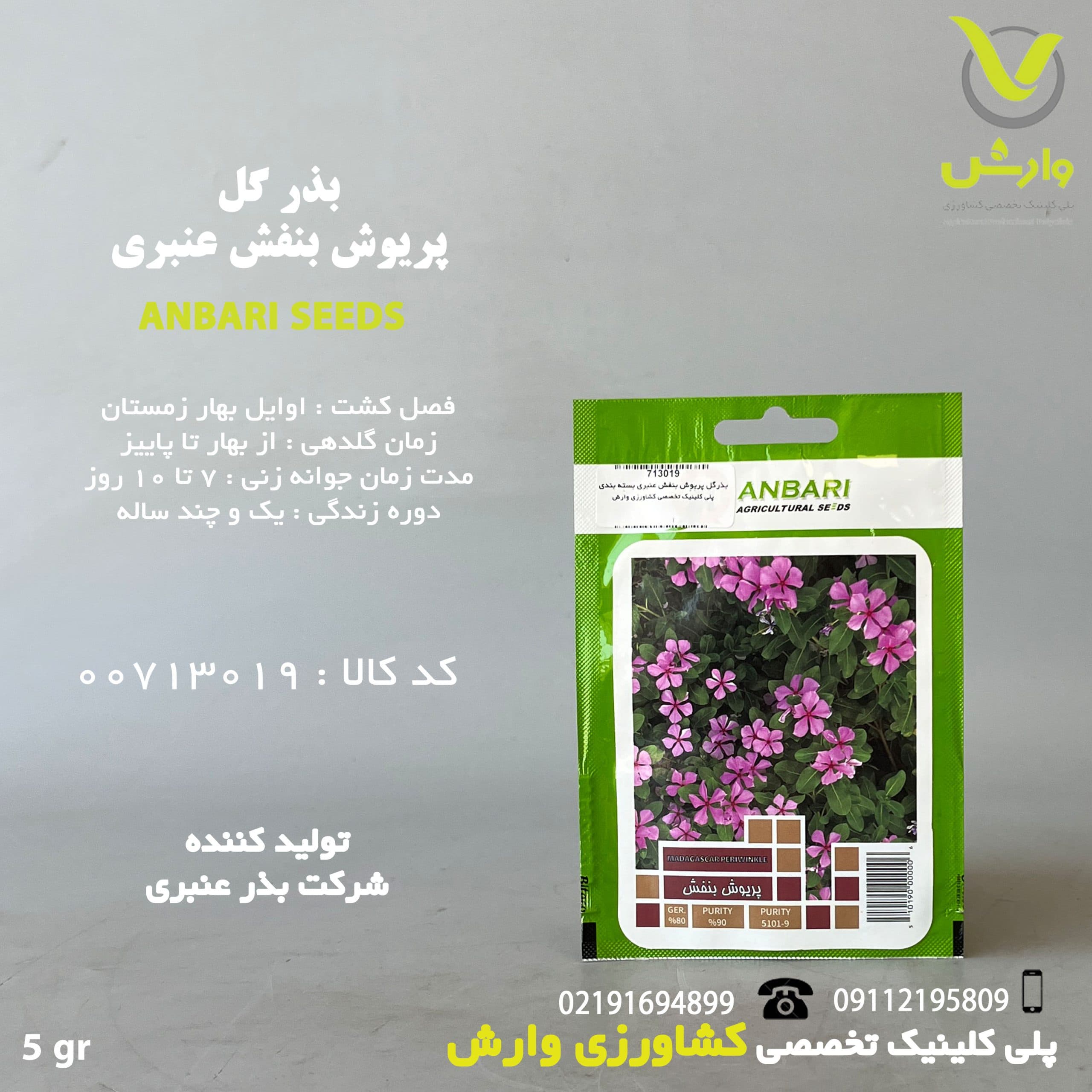 بذرگل پریوش بنفش عنبری بسته بندی خانگی