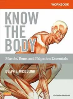 دانلود کتاب Workbook for Know the Body: Muscle, Bone, and Palpation Essentials