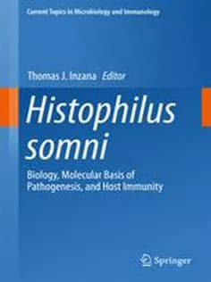 دانلود کتاب Histophilus Somni: Biology, Molecular Basis of Pathogenesis, and Host Immunity