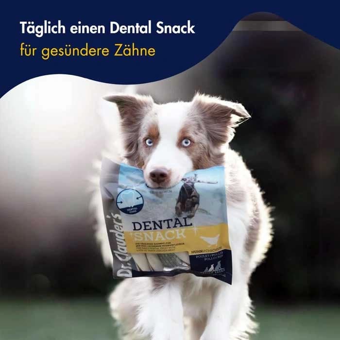 تشویقی سگ بالغ نژاد کوچک دکتر کلادرز طعم مرغ مدل دنتال وزن 80 گرم Dr.Clauder’s Dental Snack Chicken — تصویر ۵