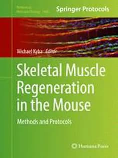 دانلود کتاب Skeletal Muscle Regeneration in the Mouse: Methods and Protocols