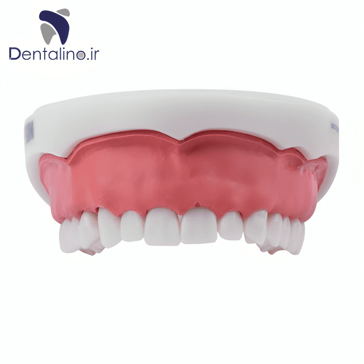 مدل افزایش طول تاج