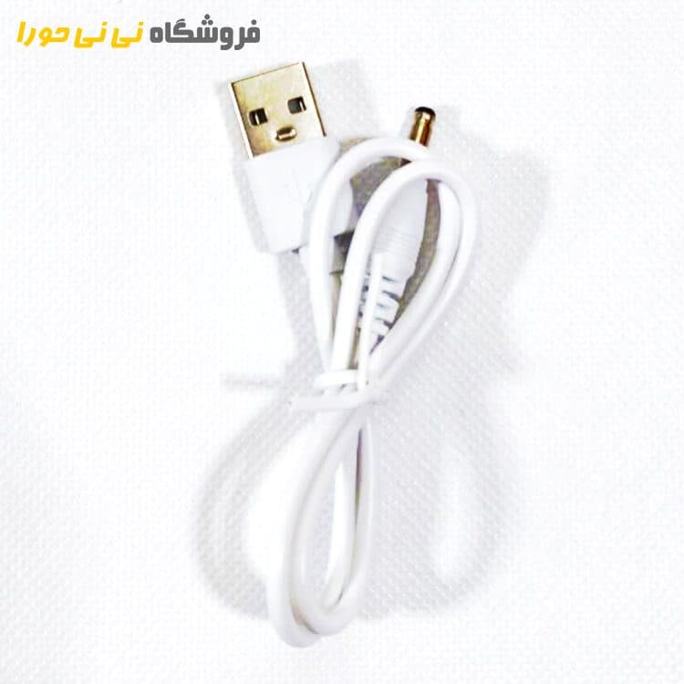 کاکتوس رقصنده — تصویر ۲