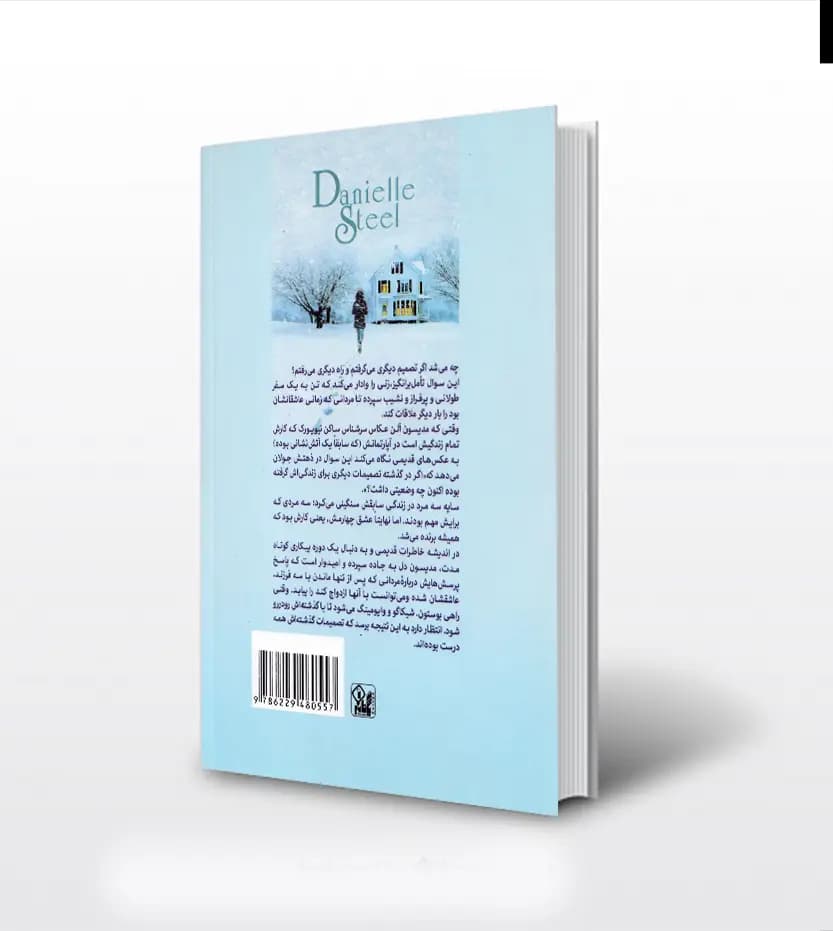 پیدا و پنهان اثر دانیل استیل — تصویر ۲