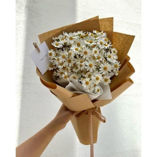 ارسال فوری گل برای بهترین آزمایشگاه ژنتیک تهران 8221