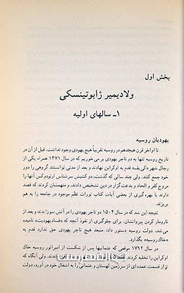 مشت آهنین — تصویر ۲