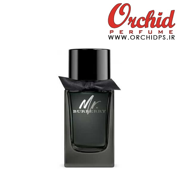 BURBERRY Mr. Burberry EDP