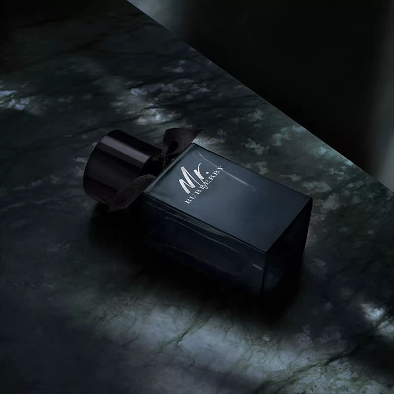 BURBERRY Mr. Burberry EDP — تصویر ۲