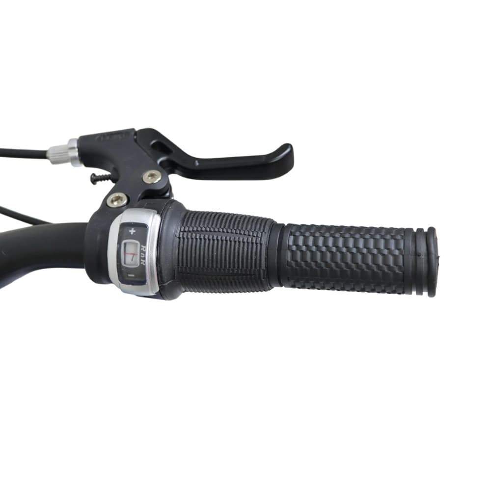 دوچرخه سایز 20 کاپریولو مدل کلارک CAPRIOLO CLARK دیسکی 7دنده — تصویر ۳