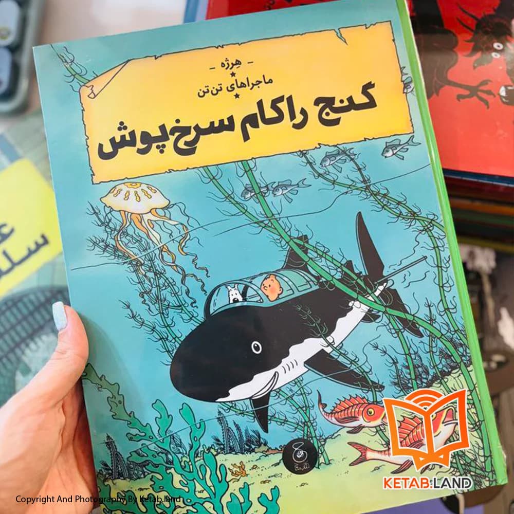 کتاب ماجراهای تن تن 12 گنج راکام سرخ پوش — تصویر ۳