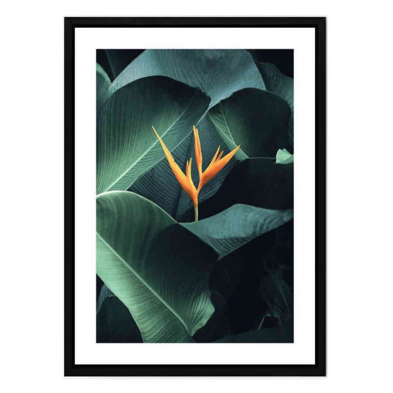 تابلو مدل Tropical plant کد 248901373 — تصویر ۲