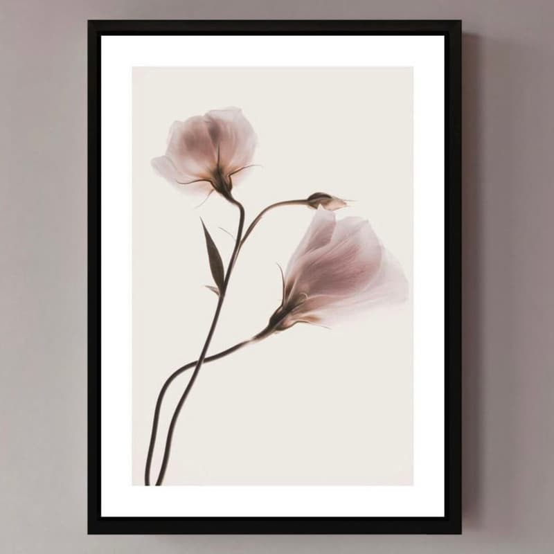 تابلو مدل Pink pastel flower کد 248901357 — تصویر ۳