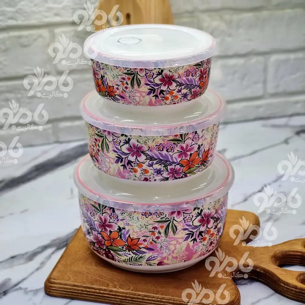 نگهدارنده سرامیکی فریزری 3تکه دنی هوم