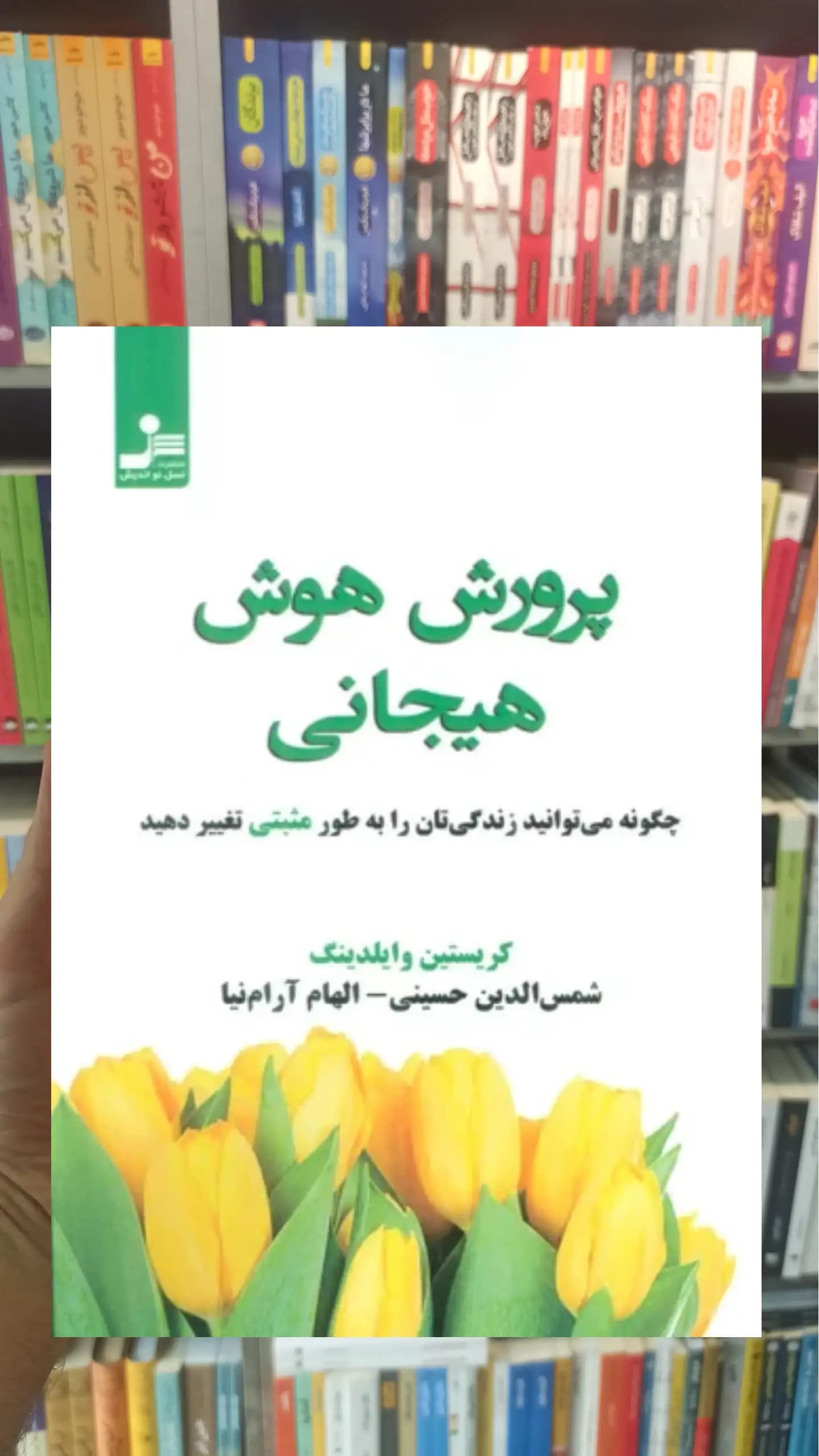 پرورش هوش هیجانی کریستین وایلدینگ نسل نواندیش