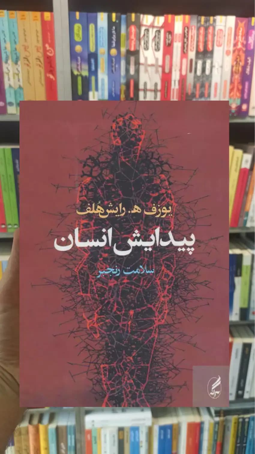 پیدایش انسان رایش هلف آگاه