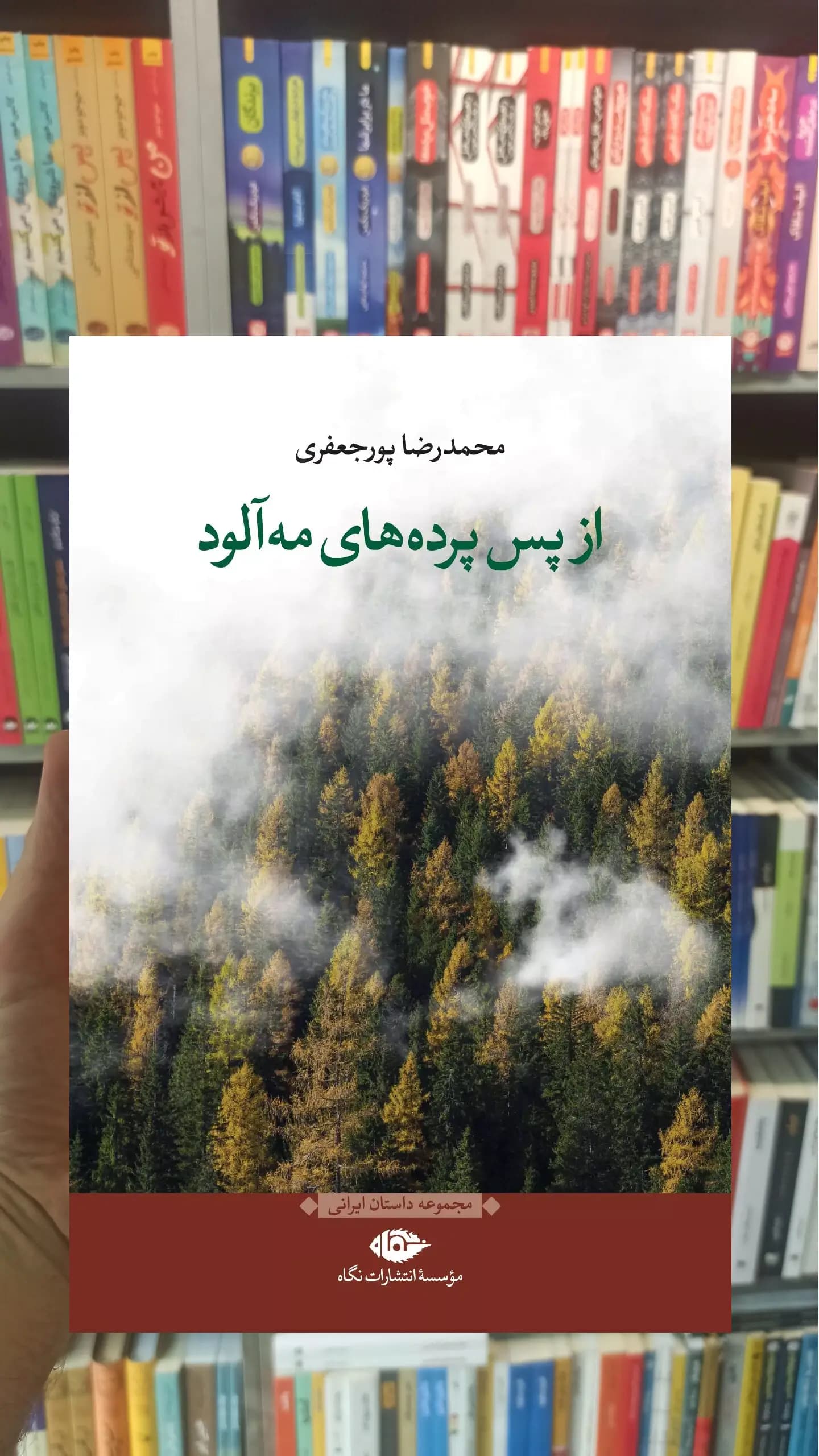 از پس پرده های مه آلود نگاه