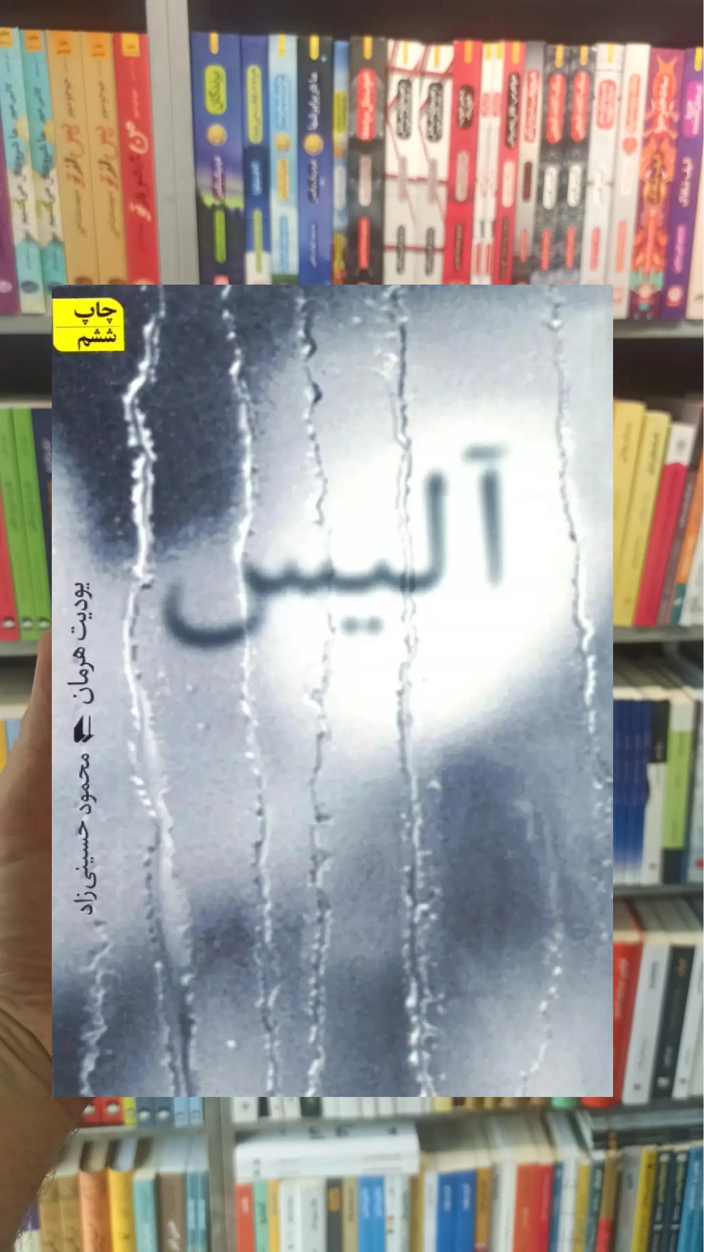 آلیس یودیت هرمان افق