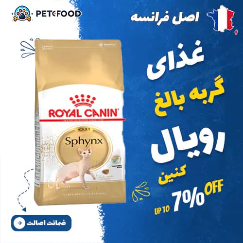 غذای خشک گربه رویال کنین Sphynx Adult (بالغ اسفینکس)