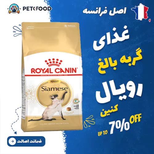 غذای خشک گربه رویال کنین Siamese Adult (بالغ سیامی)
