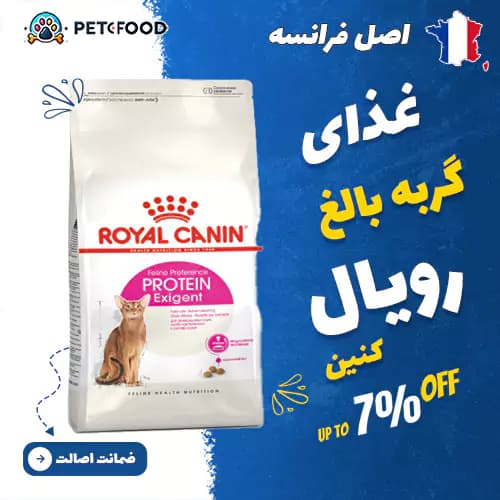 غذای خشک گربه رویال کنین Protein Exigent (بدغذا با پروتئین بالا)