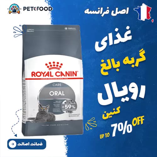 غذای خشک گربه رویال کنین Oral Care (مراقبت دهان)