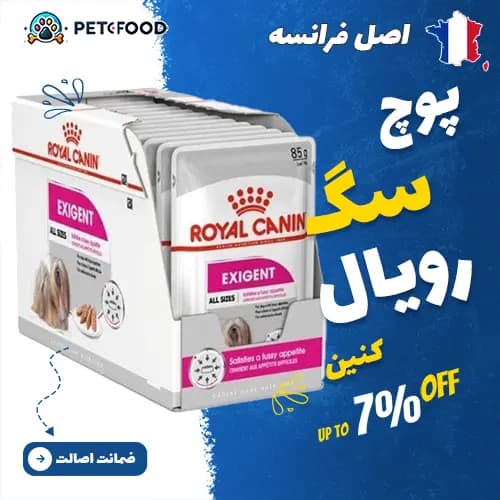 پوچ سگ بالغ بد غذا رویال کنین