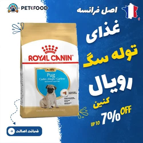 غذای توله سگ نژاد پاگ رویال کنین