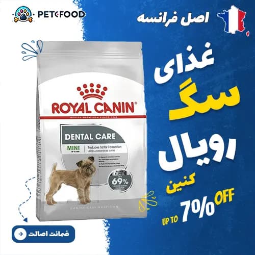 غذای خشک سگ نژاد کوچک مراقبت دندان رویال کنین