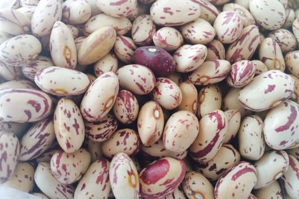 لوبیا چیتی اعلا ( 600 گرم)