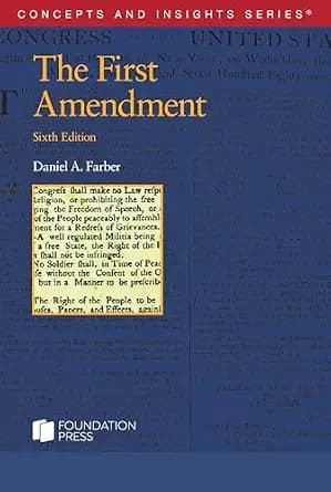 و دانلود نسخه کامل کتاب زبان اصلی The First Amendment (Concepts and Insights) PDF | دانلود کتاب خارجی