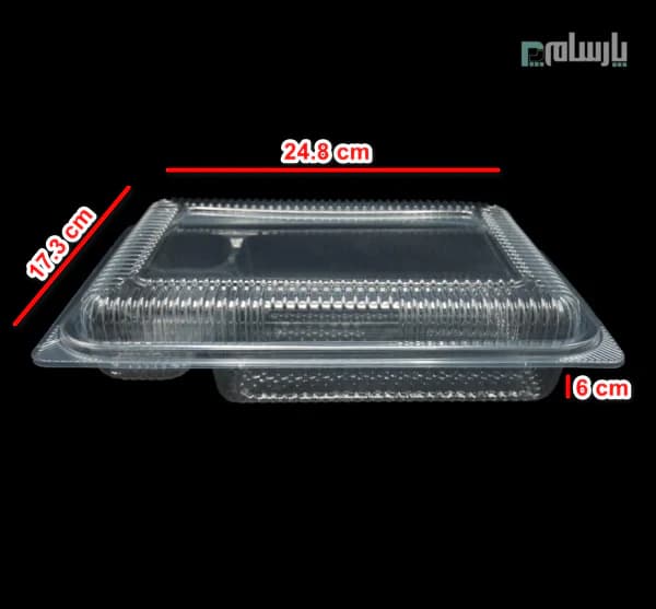 ظرف یکبار مصرف باکس ۱۰۰۰ چهار خانه – پت — تصویر ۲