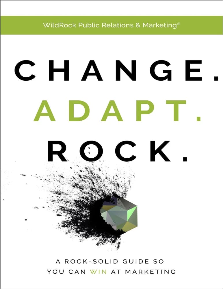 کتاب Change Adapt Rock (تغییر، سازگاری، موفقیت) نسخه انگلیسی PDF | WildRock Public Relations