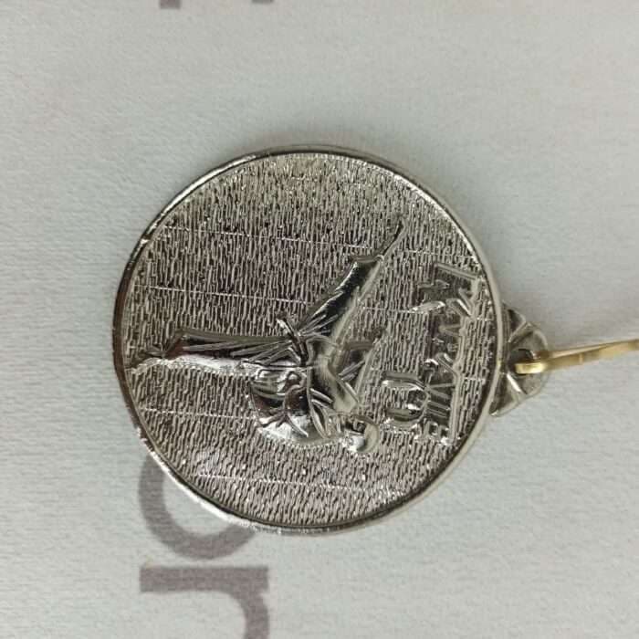 مدال قهرمانی طرح کاراته — تصویر ۳