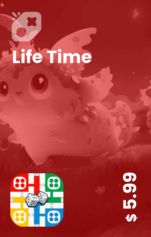 Life Time