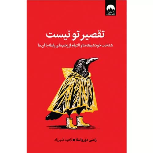 کتاب تقصیر تو نیست اثر رامنی دورواسلا