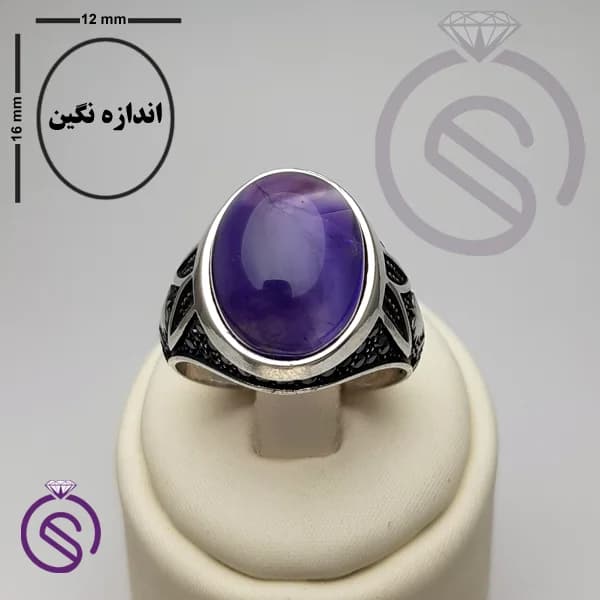 انگشتر نقره آمیتیست مردانه مدل نخل کد 62284 — تصویر ۳