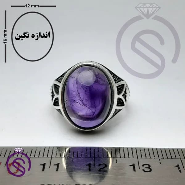 انگشتر نقره آمیتیست مردانه مدل نخل کد 62284 — تصویر ۲