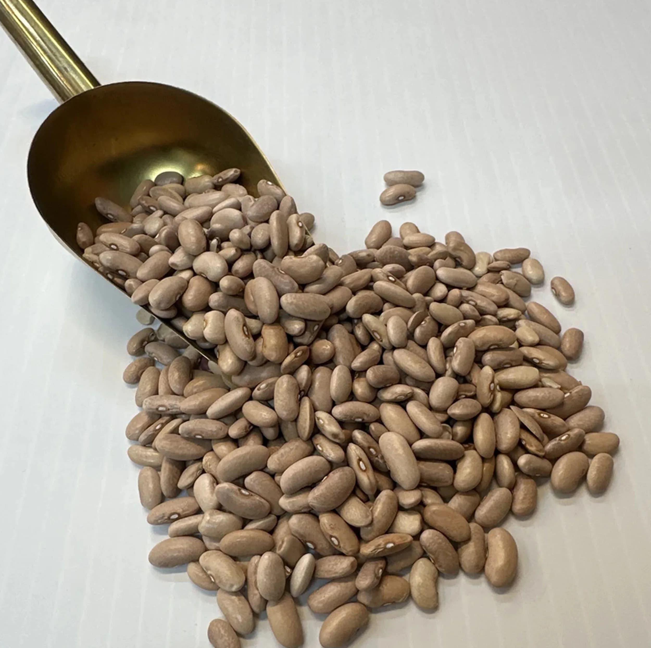 لوبیا کشاورزی اعتماد خوب – 900 گرم — تصویر ۲