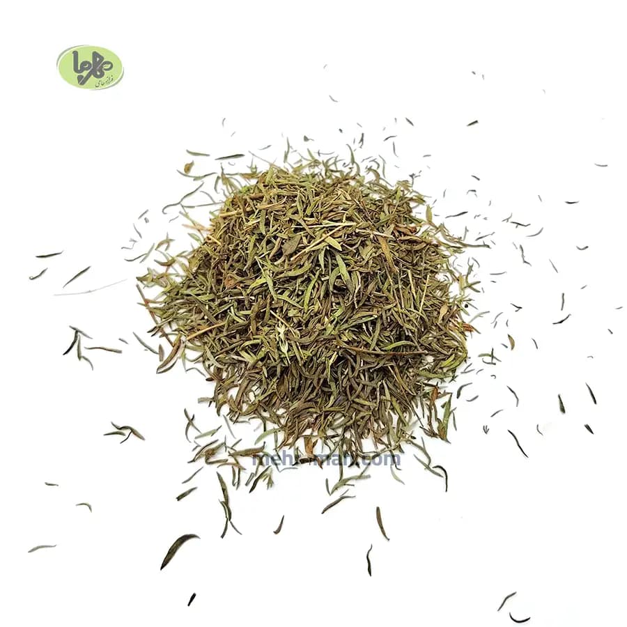 گیاه رزماری خشک — تصویر ۲