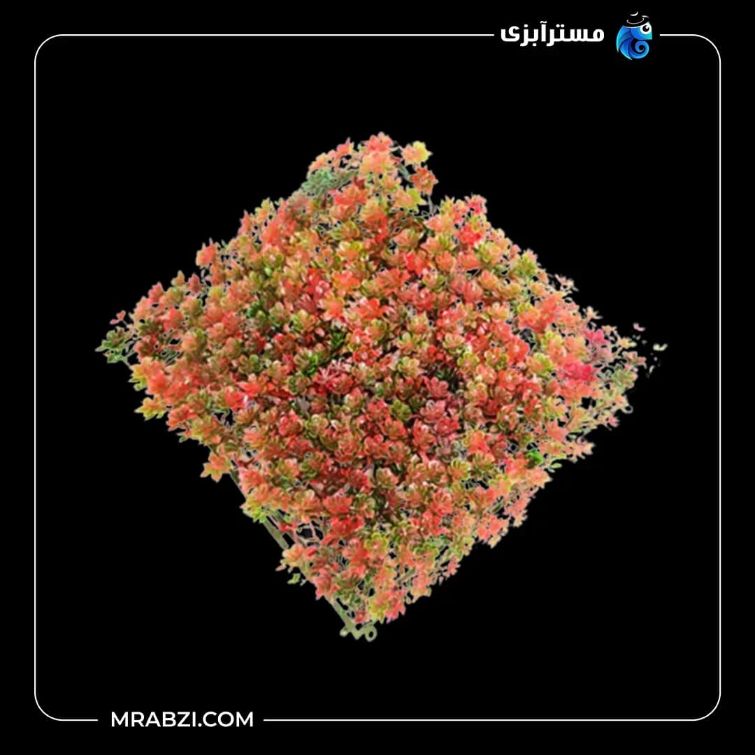 چمن مصنوعی آکواریوم برگ دو رنگ(قرمز) مدلmr1716