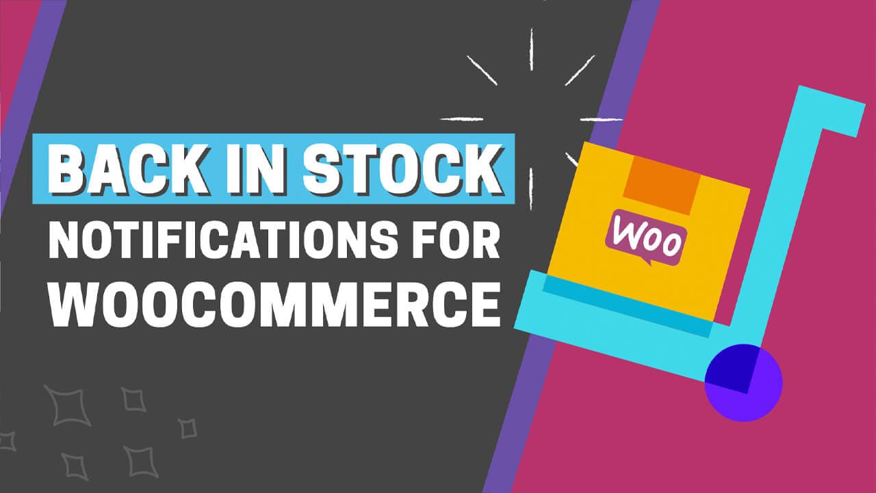 افزونه WooCommerce Back In Stock Notifications اعلان موجود شدن محصول ووکامرس 1.6.8 — تصویر ۲