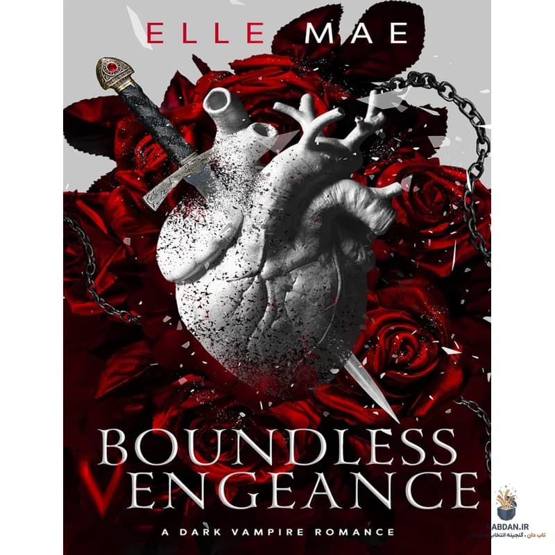 کتاب Boundless Vengeance (انتقام بی‌کران) نسخه انگلیسی PDF | ال می