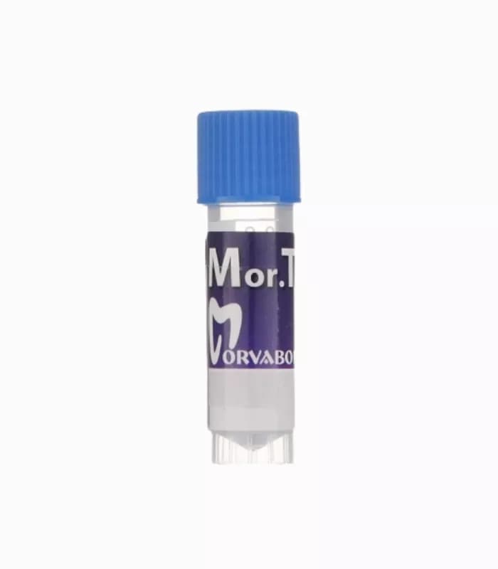 کیت سمان ام تی ای مروابن – Morvabon Mta Kit — تصویر ۴