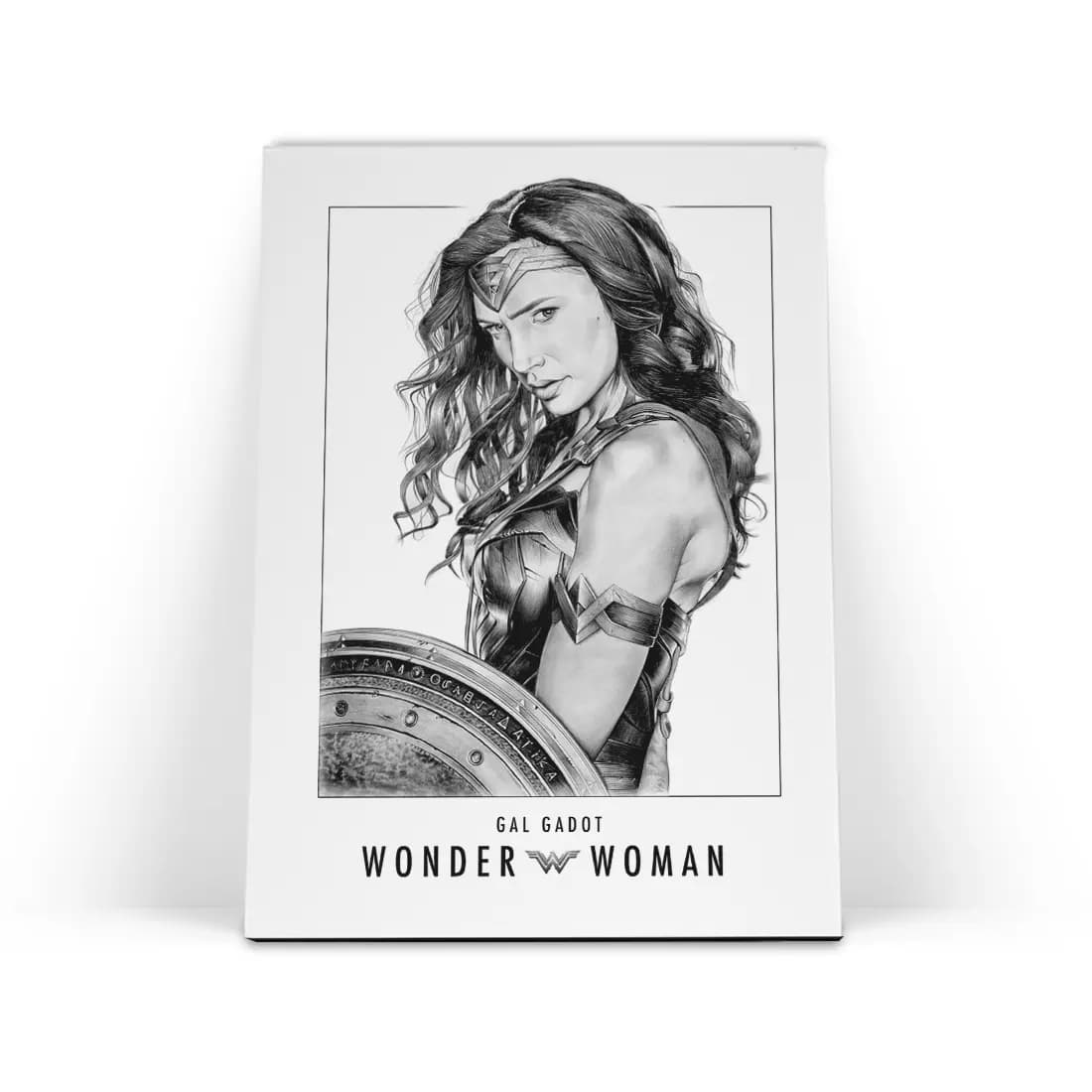 تابلو شاسی زن شگفت انگیز WONDER WOMAN